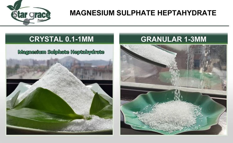 magnesium sulphate-2