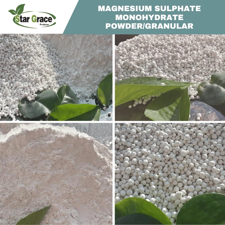 Magnesium Sulfate Monohydrate MgSO4·H2O Powder